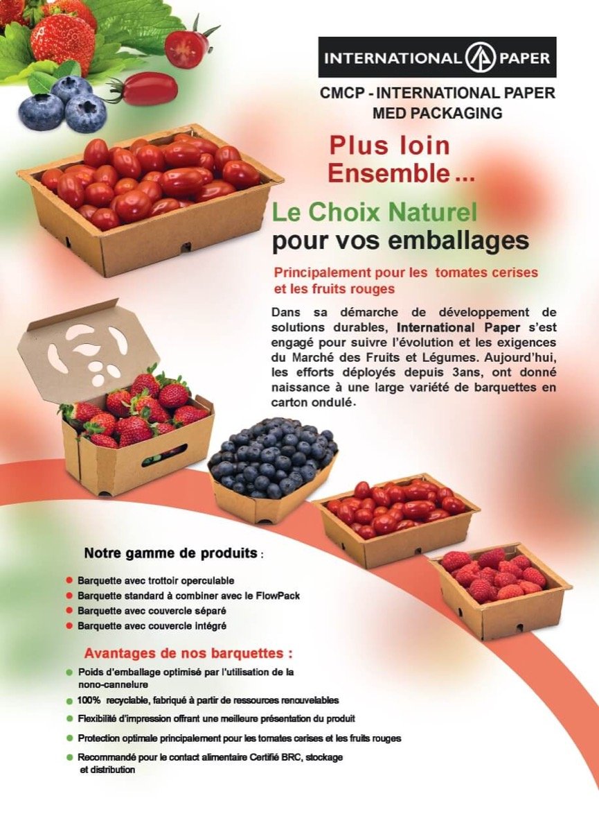 Projet 2MAG pour CMCP · International Paper · DS Smith